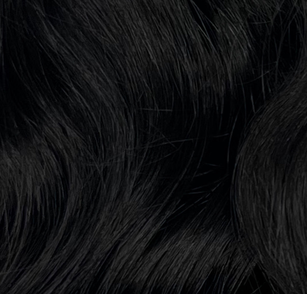 Royal Curl